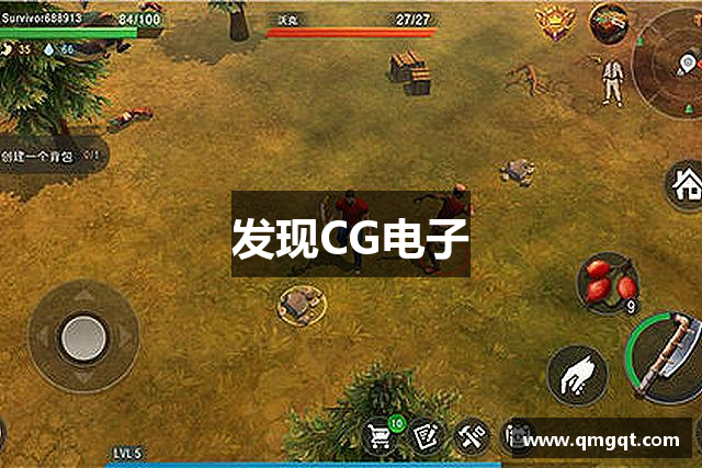 发现CG电子